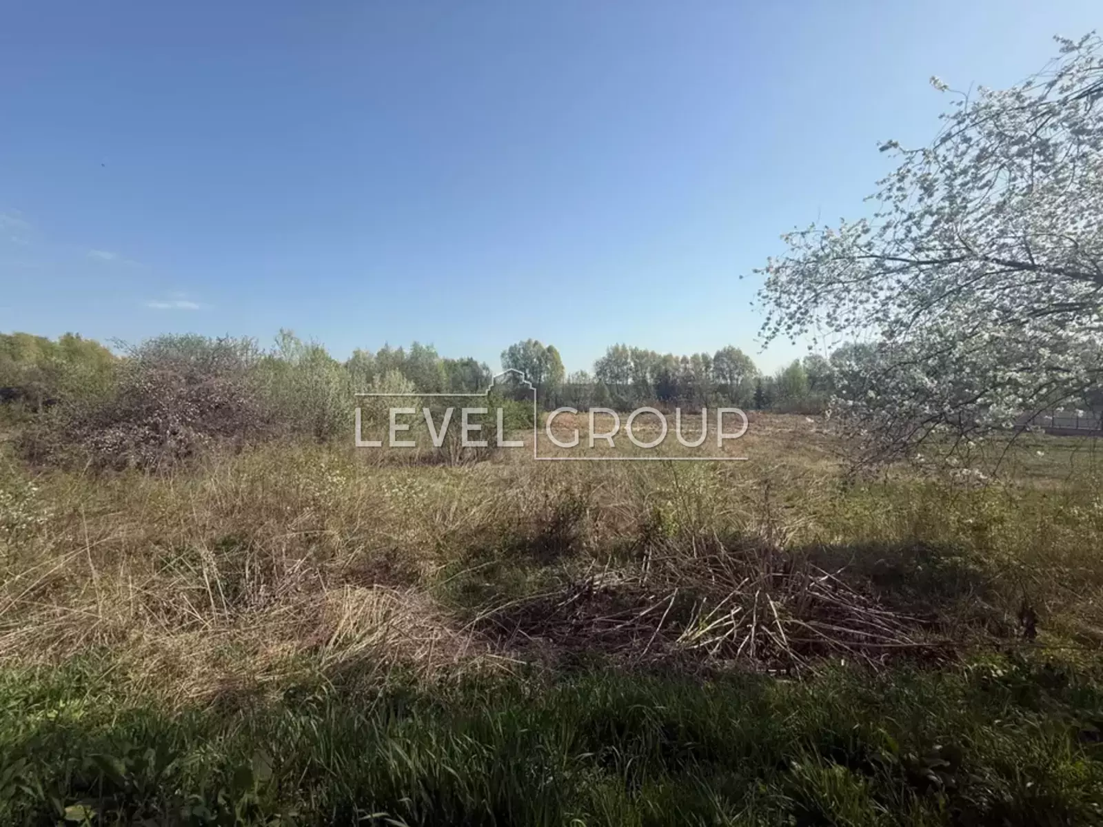 Нові Безрадичі  