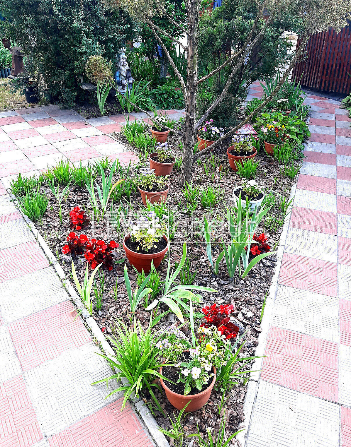 Zoryana St., 1