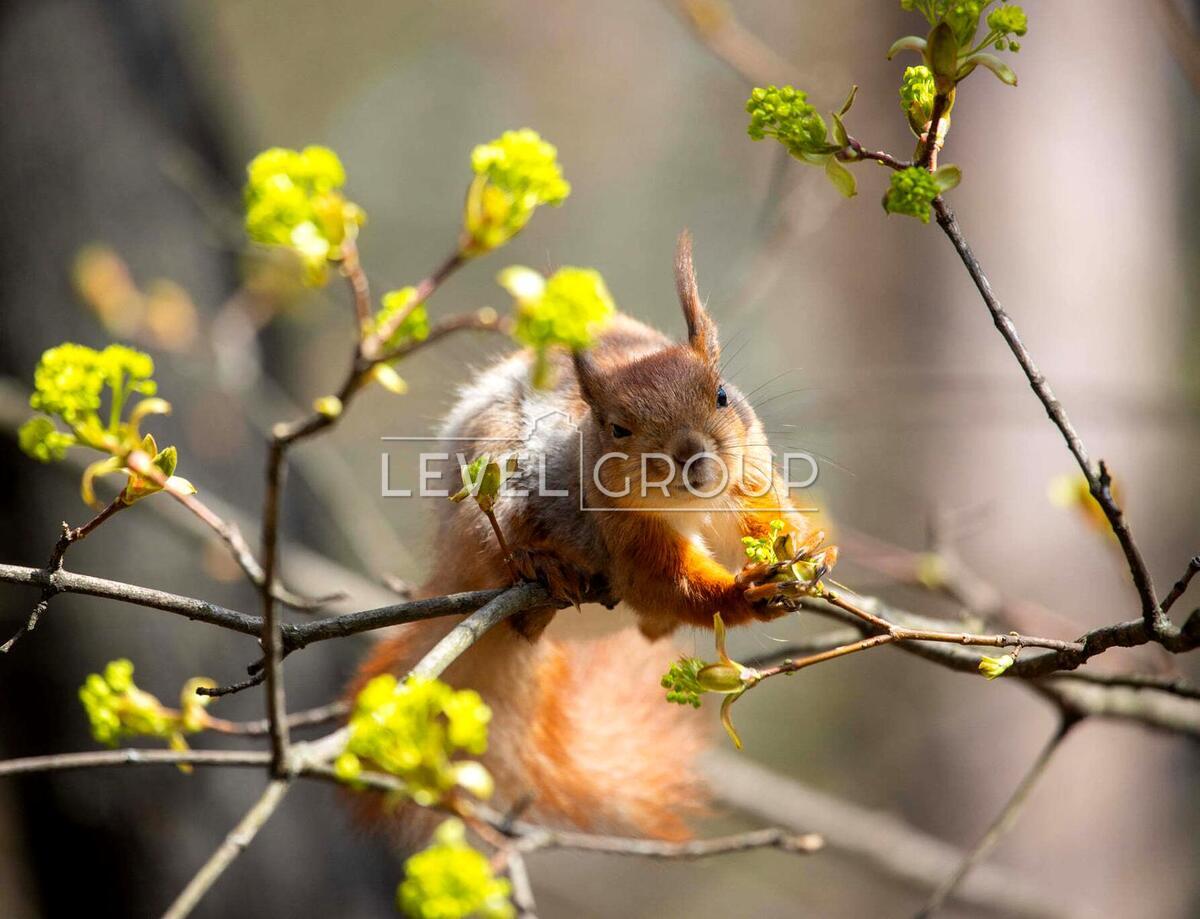 Воскресенська вул., 14д