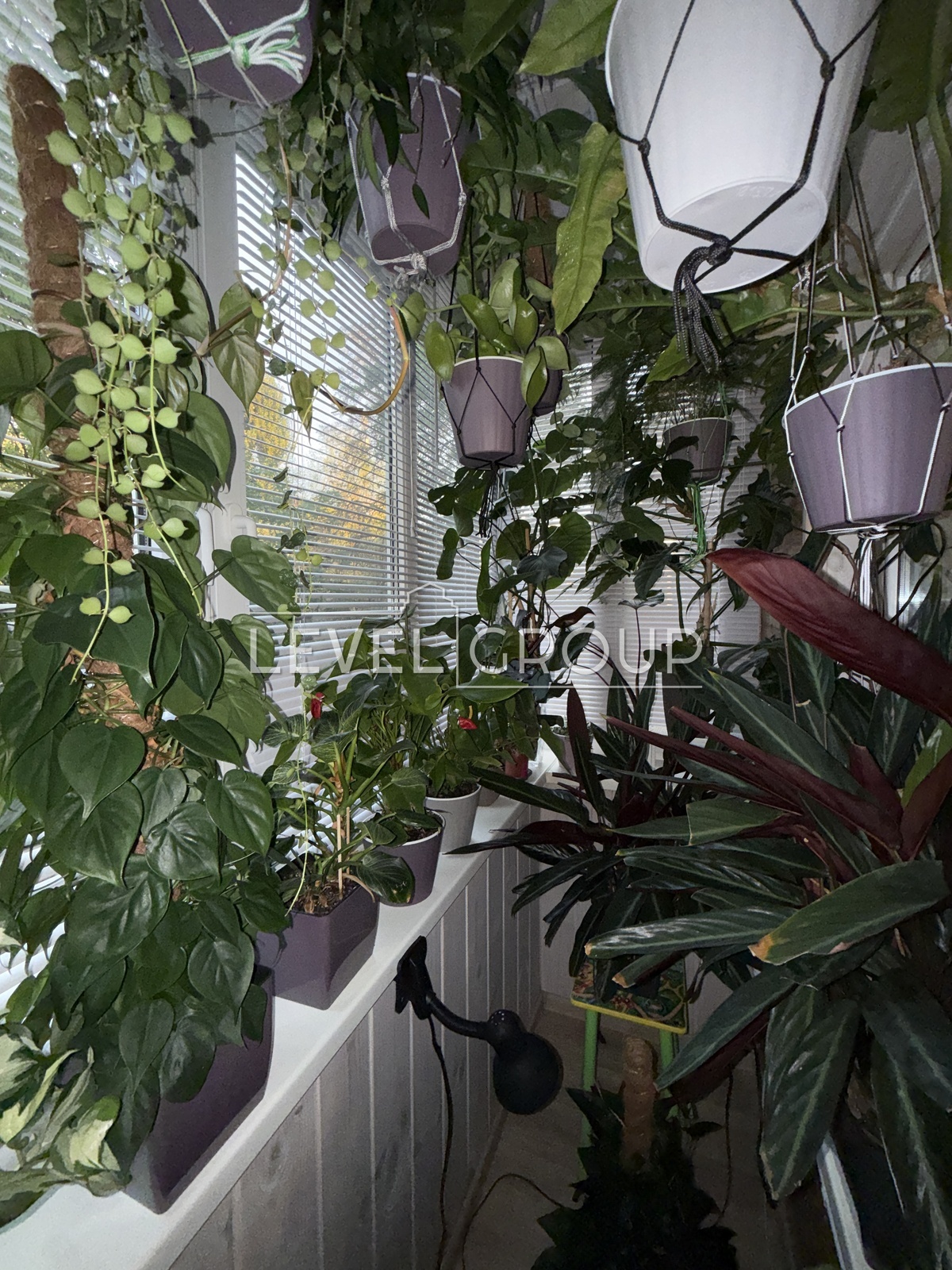 Естонська, 5