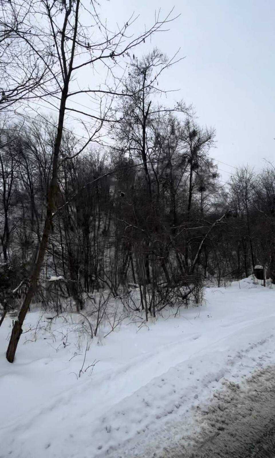 Васильківська