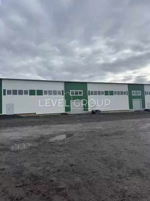 володимирська