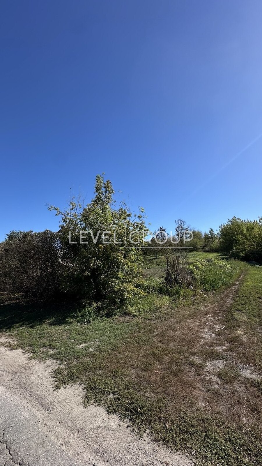 Лучевая