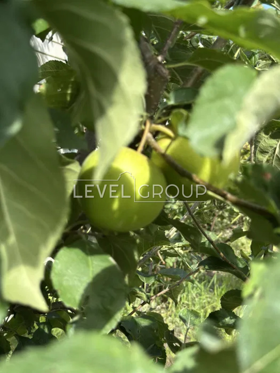 Київська вул.