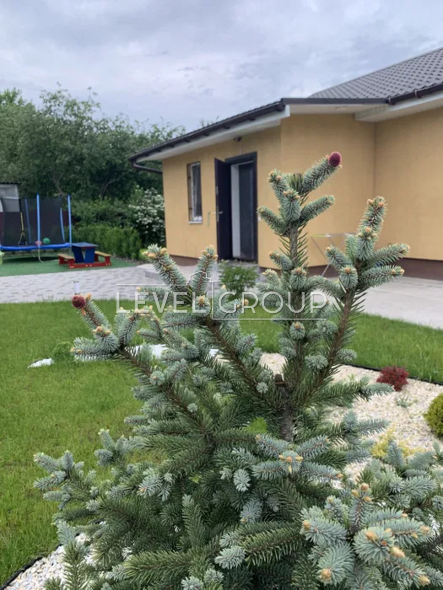 1 лінія вул., 909