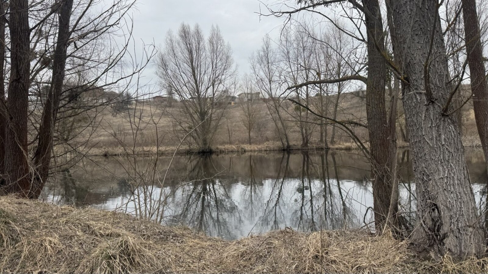 Old Bezradychi  