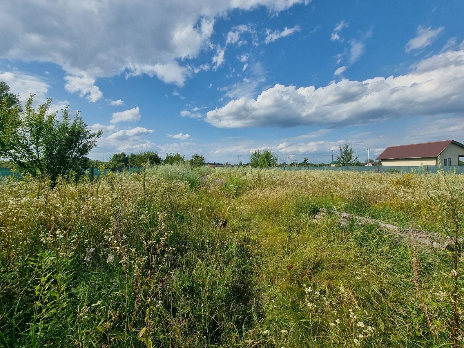 Лісна