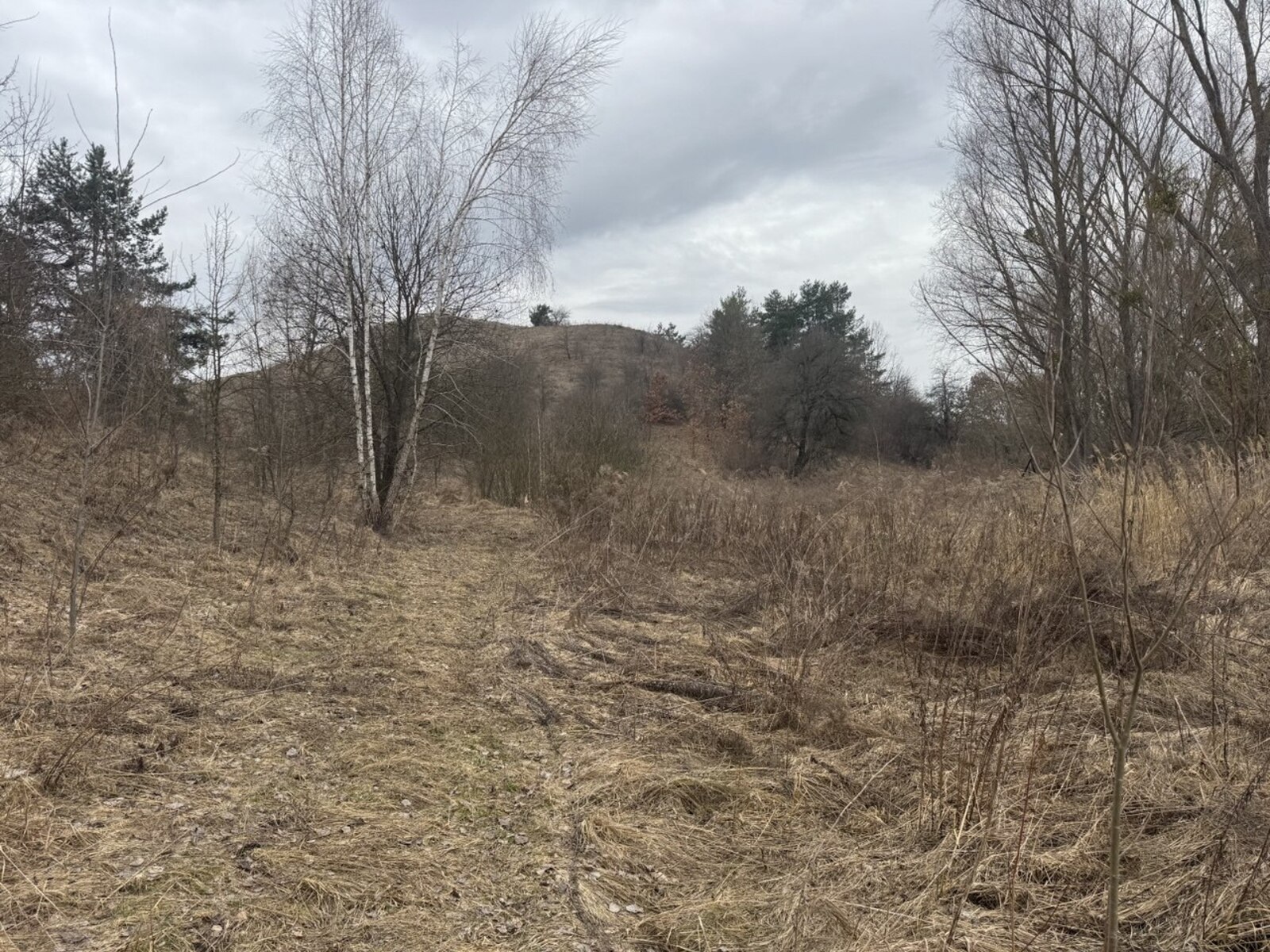 Old Bezradychi  