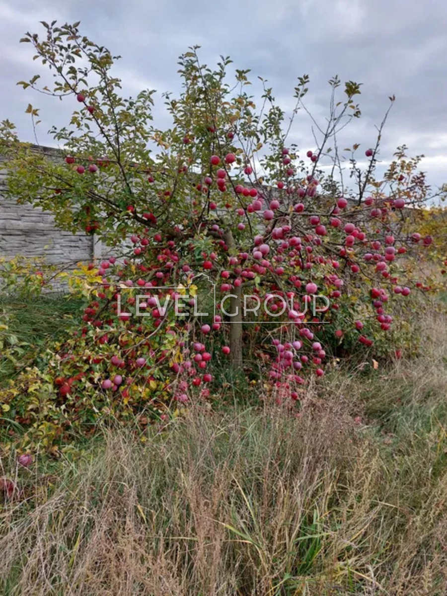 Каштанова вул., 6