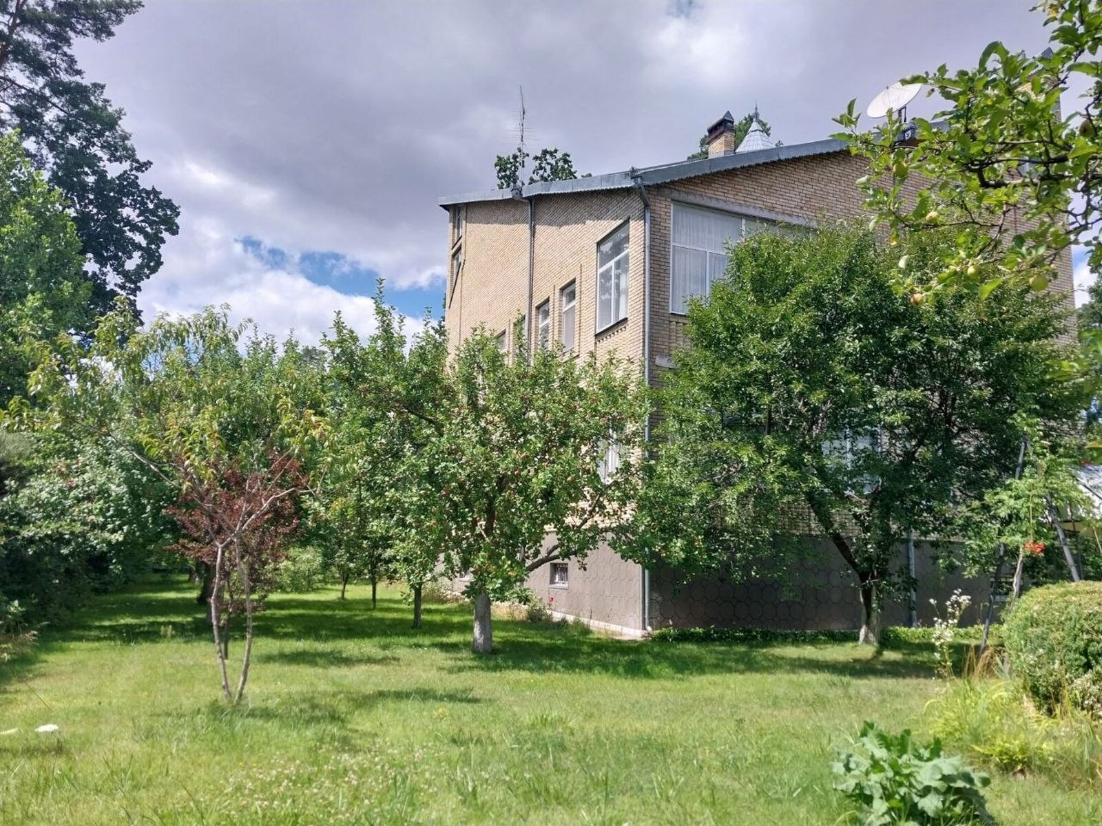 Орлика