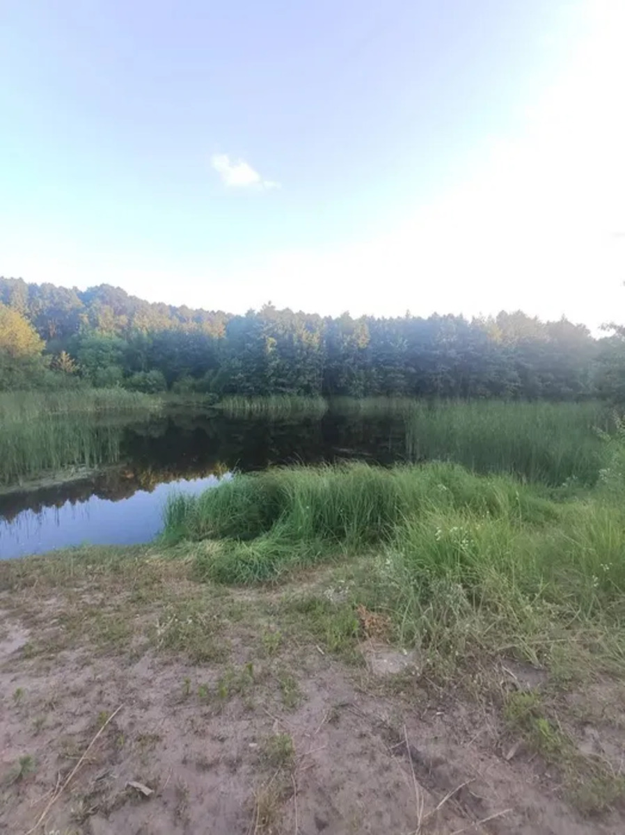 Vinohradna, 2/1