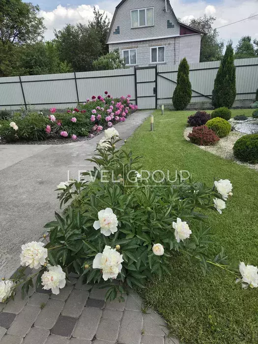 1 лінія вул., 909