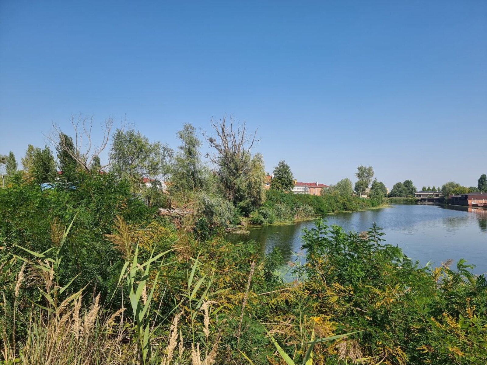name_en