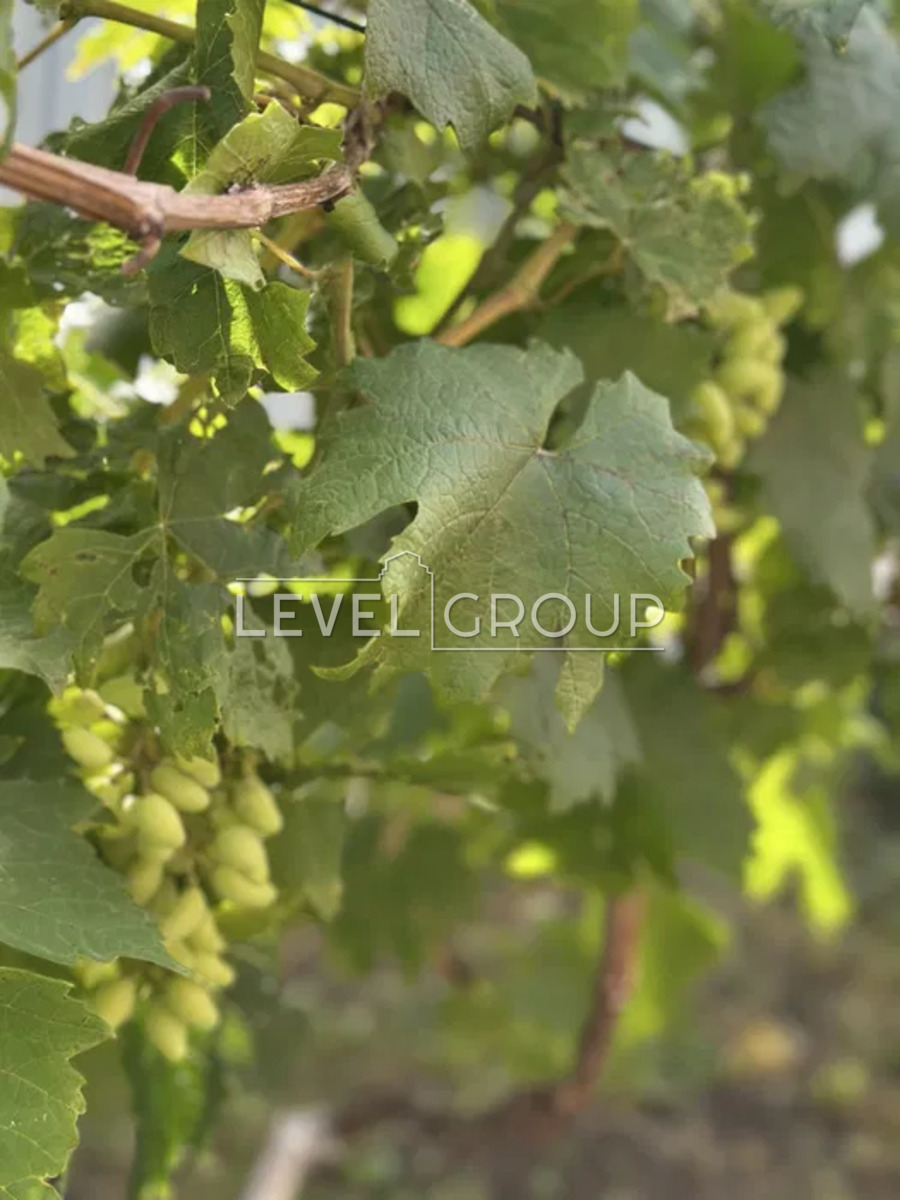 Київська вул.