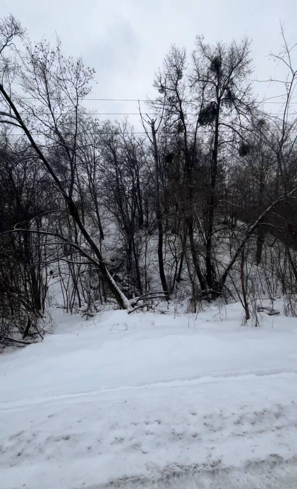 Васильківська