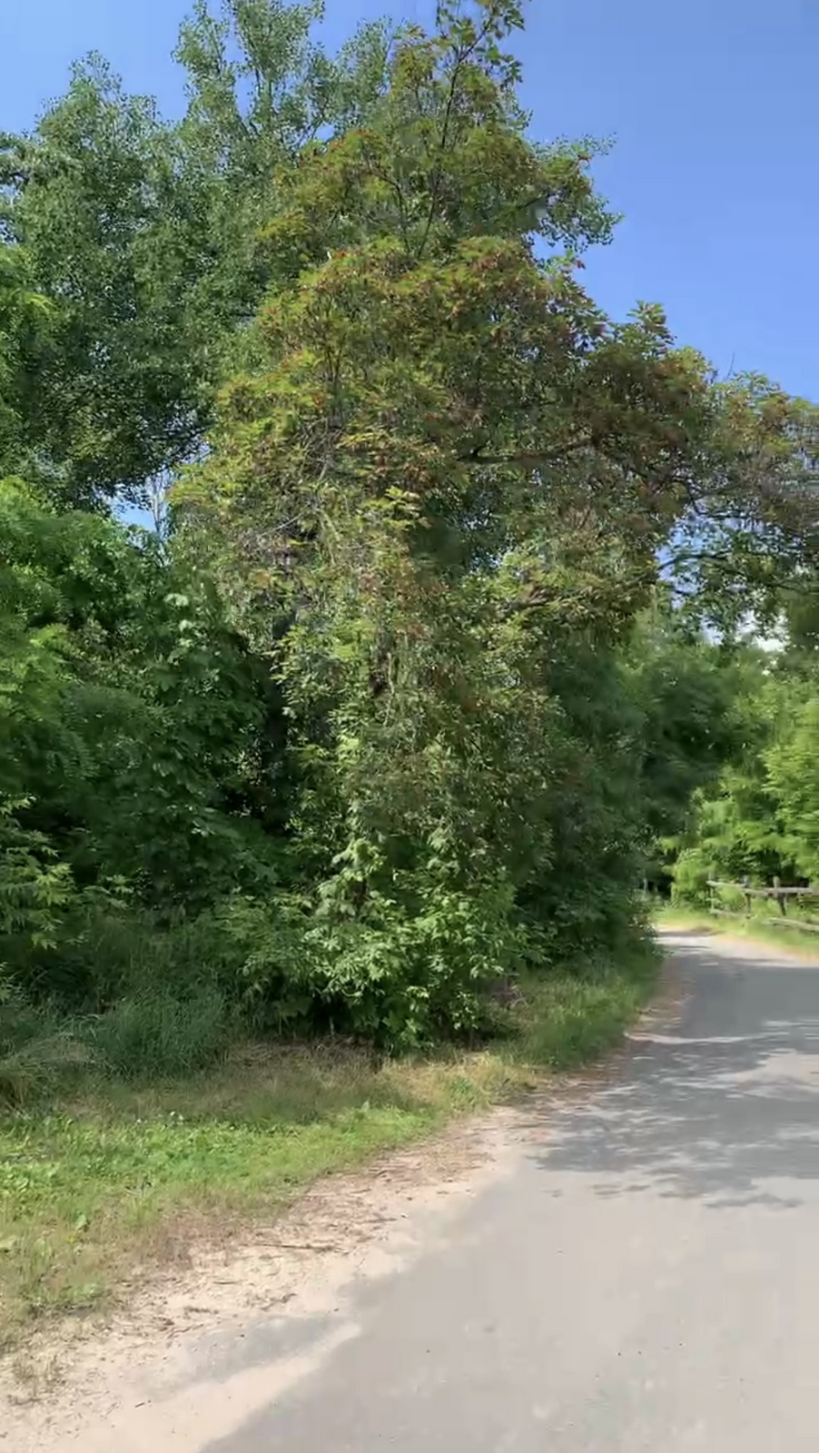 Васильківська