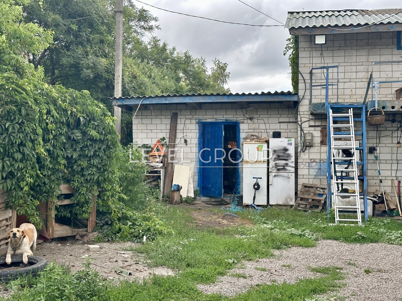 Польова