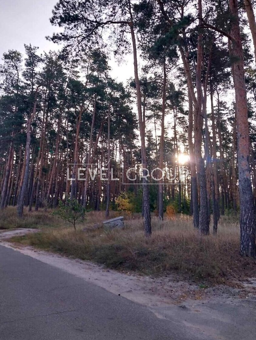 Ліснича вул., 19