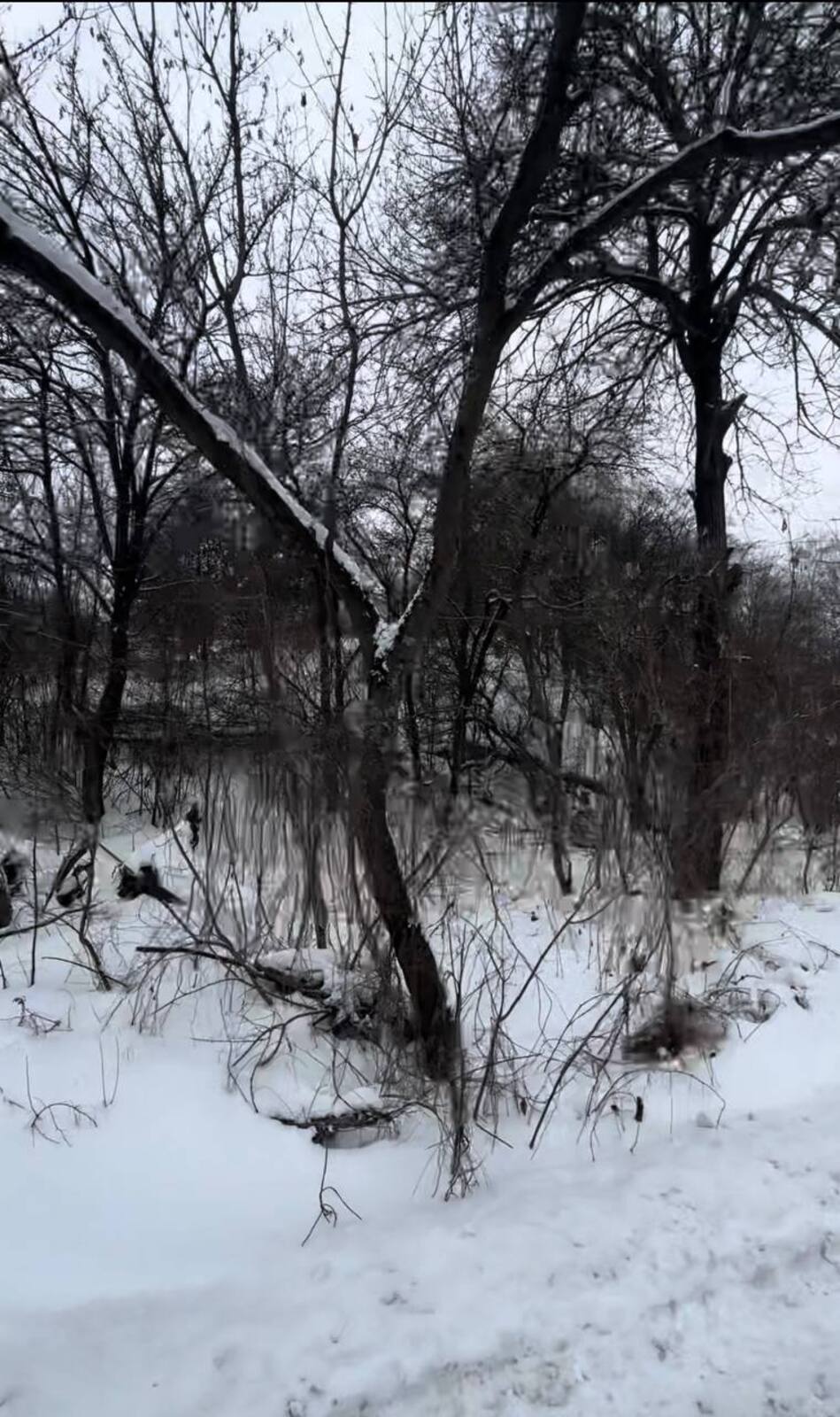 Васильківська