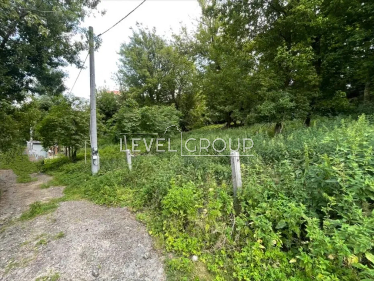 провідницька