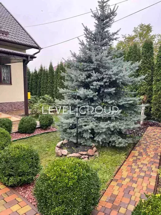 Грушевського вул.