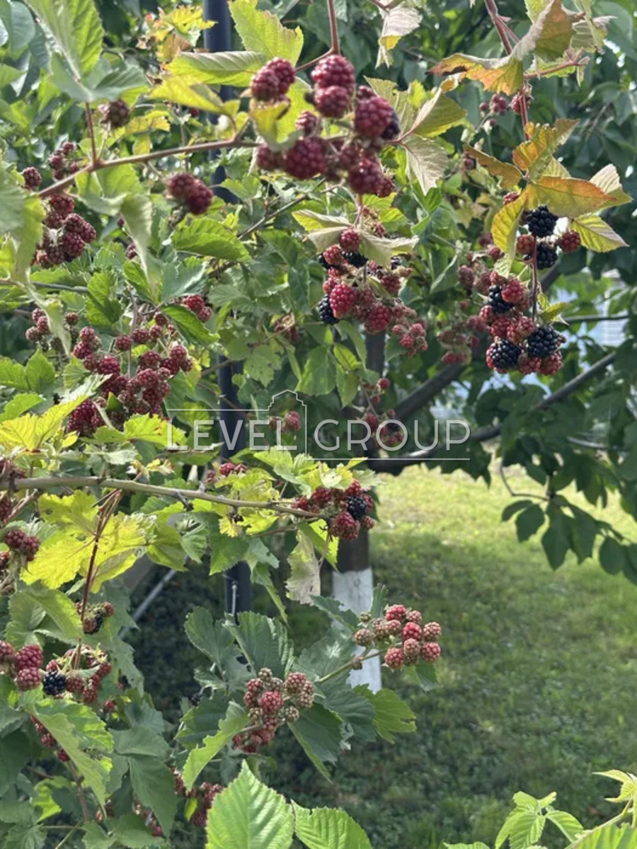 Київська вул.