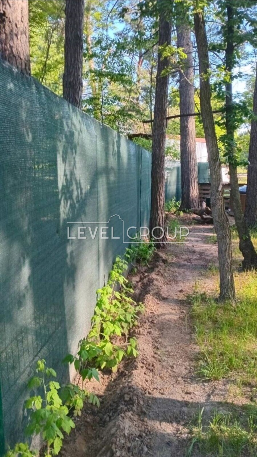 name_en