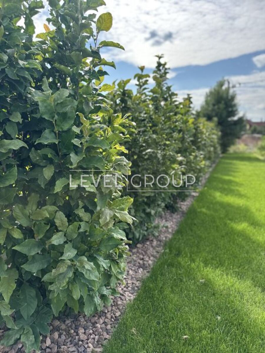 Київська вул.