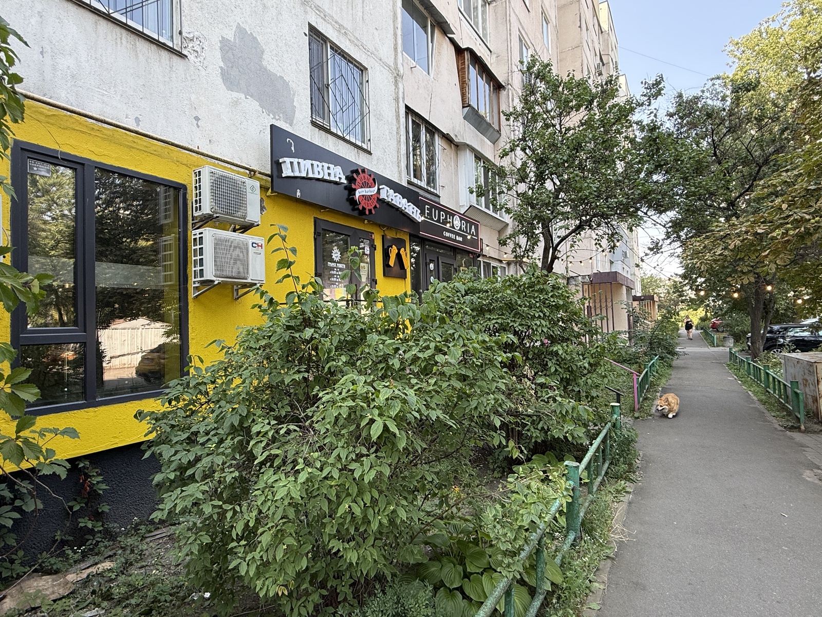 Оболонський просп., 22а