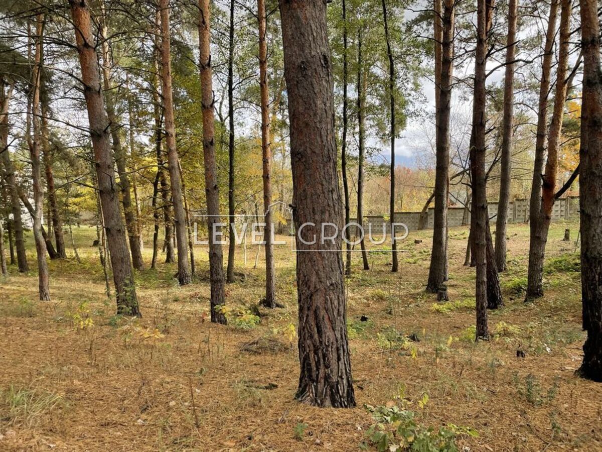 name_en