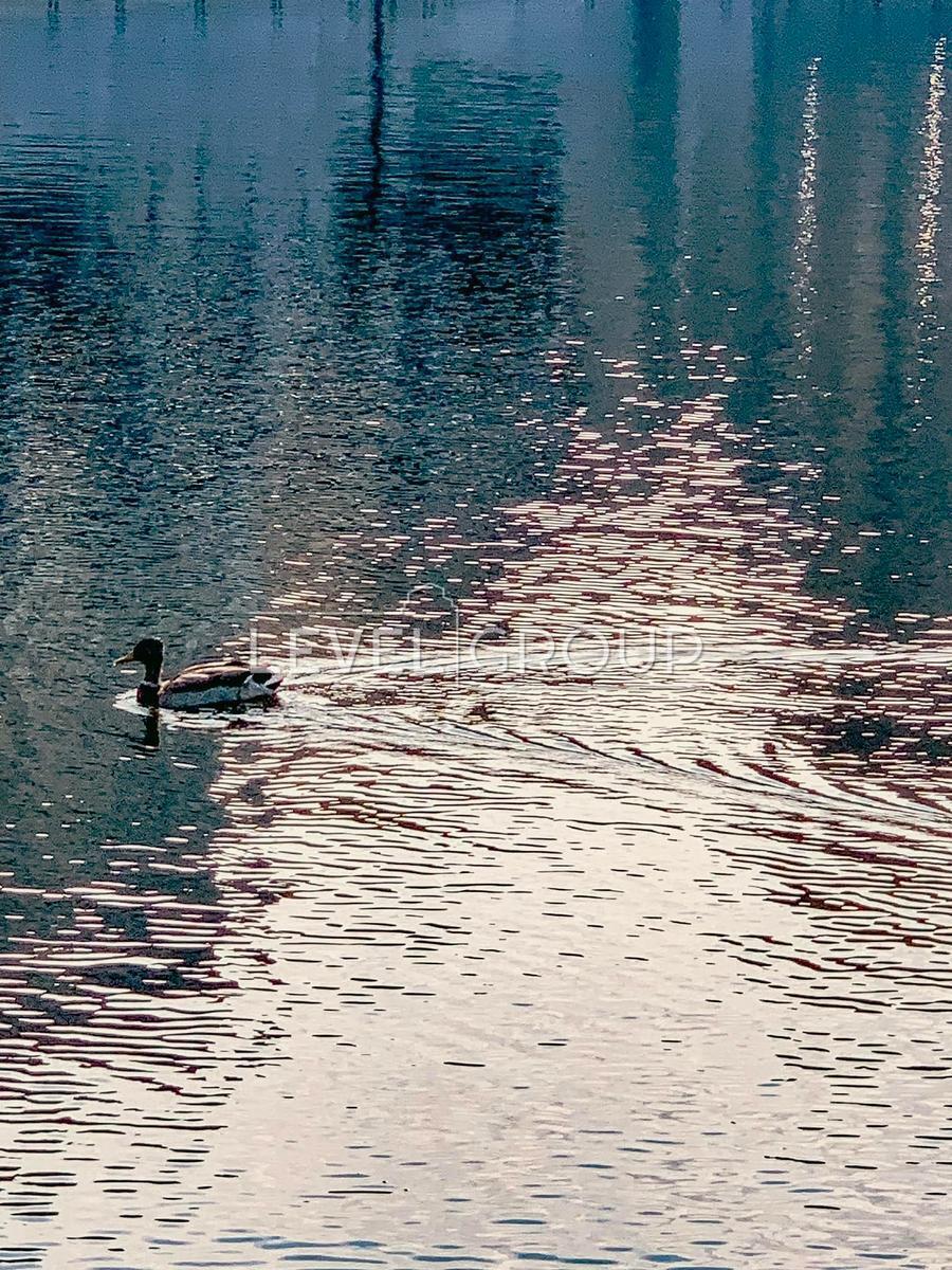 Воскресенська вул., 14д