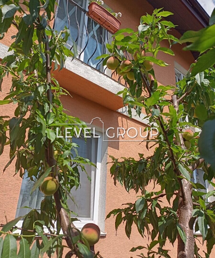 Stetsenko st.