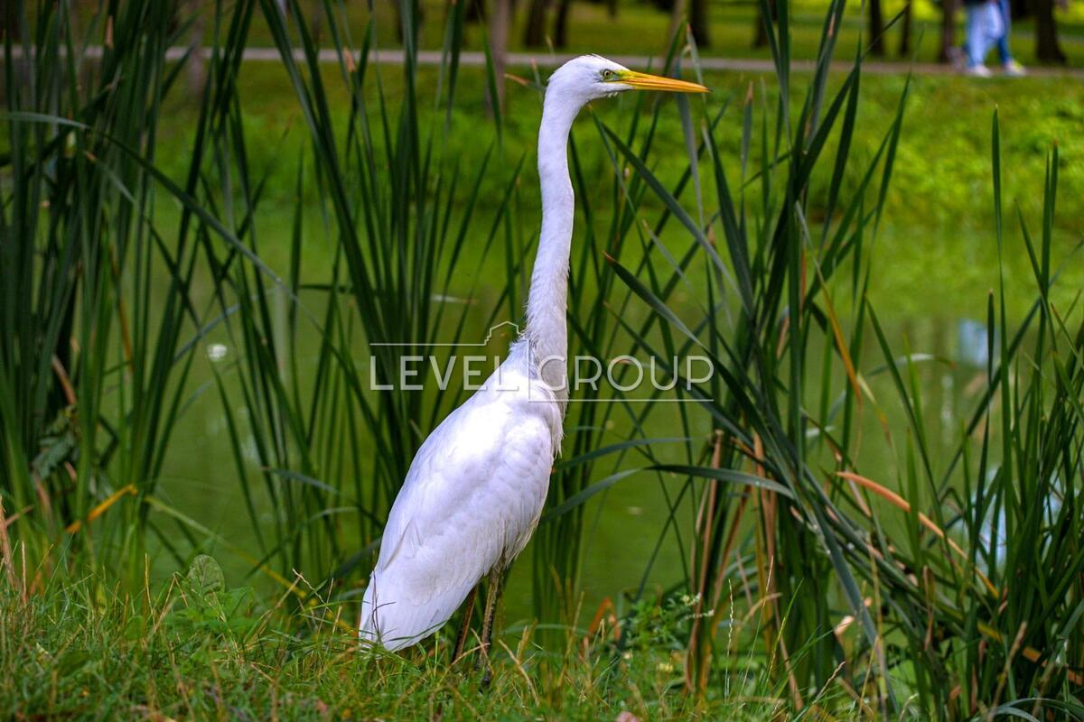Воскресенська вул., 14д