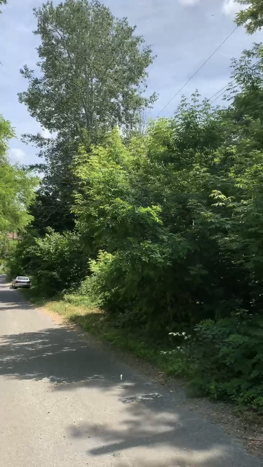 Васильківська