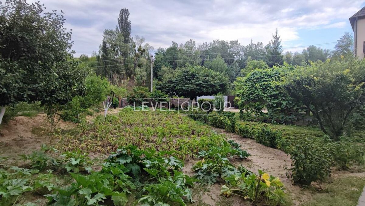 Липовий яр вул.